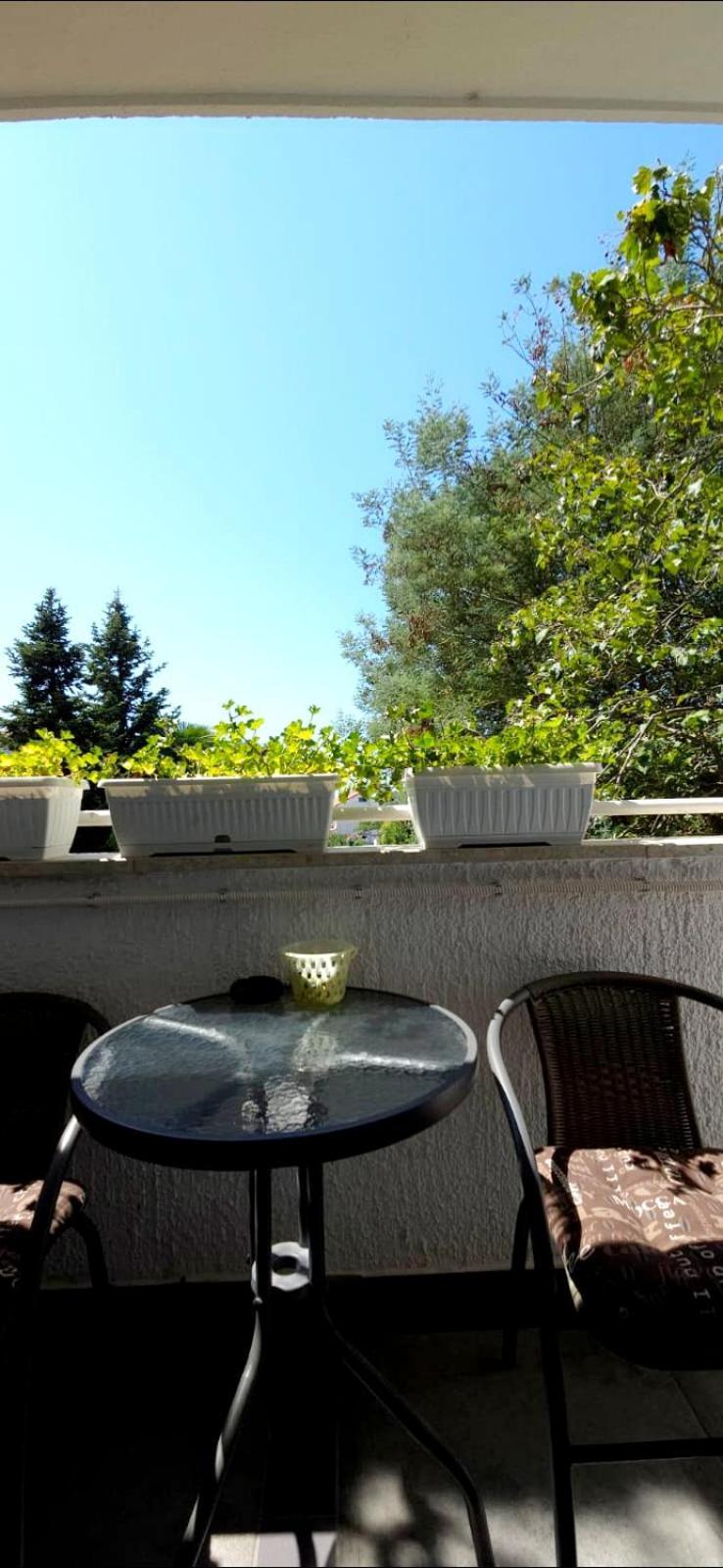 Diana Apartman Poreč Kültér fotó